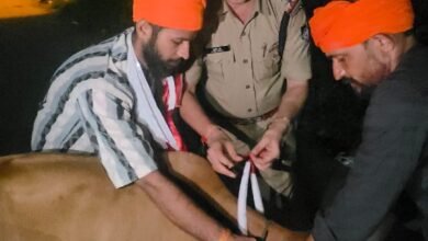 लोगों की सुरक्षा के लिए सडक़ पर उतरे टीआई, मवेशियों के गले में बांधे रेडियम बेल्ट -सडक़ पर मवेशियों से टकराने के कारण हो रहे सडक़ हादसे 9 thana katara hills 11 09 2025