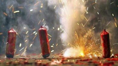 दीपावली पर वायु प्रदूषण बढ़ने का अंदेशा 9 010 3