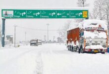 पहली बर्फबारी की चादर से गुलजार हुई 'जन्नत' की वादियां 11 05 6