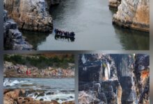 नर्मदा महोत्सव की फोटोग्राफी प्रतियोगिता के परिणाम घोषित , सुगनचंद को मिला प्रथम पुरस्कार, गौरव यादव द्वितीय, ए. राजेश्वर राव तृतीय स्थान पर रहे 10 20251005 220526