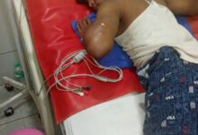 8e977e60 c6df 4b90 868c d7cd5434e21f