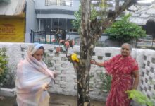 अक्षय आंवला नवमी पर महिलाओं ने की पूजा और लगाई परिक्रमा आस्था के साथ प्रकृति संरक्षण का संदेश 17 IMG 20251030 WA0011