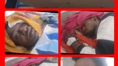 IMG 135053 301025 1761812465120