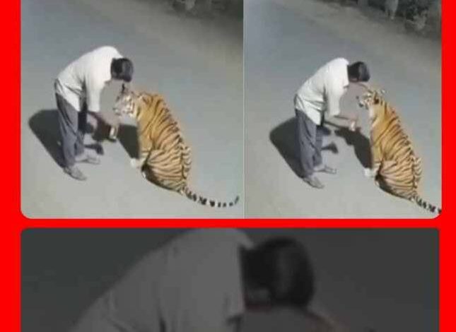 IMG 212239 291025 1761753172706