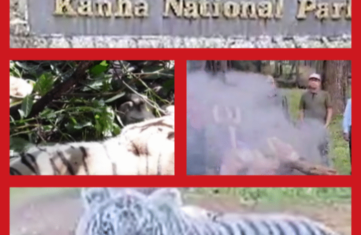 Screenshot 20251003 083709.Gallery