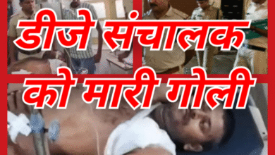 Screenshot 20251004 193324.Gallery