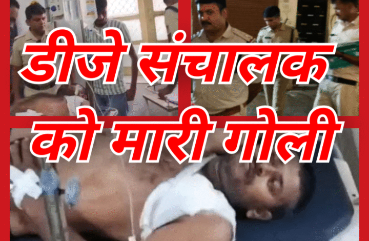 Screenshot 20251004 193324.Gallery