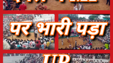 Screenshot 20251004 222006.Gallery