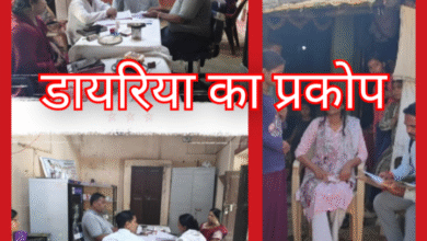 Screenshot 20251008 105833.Gallery