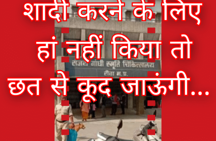 Screenshot 20251008 132318.Gallery