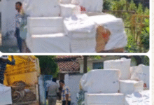 Screenshot 20251009 162444.WhatsApp