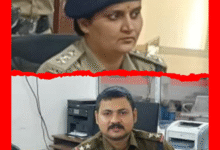 Screenshot 20251010 185000.Gallery