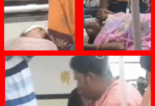 Screenshot 20251012 084756.Gallery