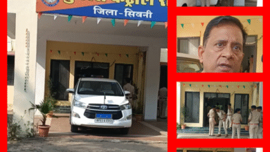 Screenshot 20251013 192009.Gallery