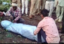 Screenshot 20251014 172445.WhatsApp