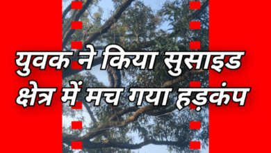 Screenshot 20251015 093306.Gallery