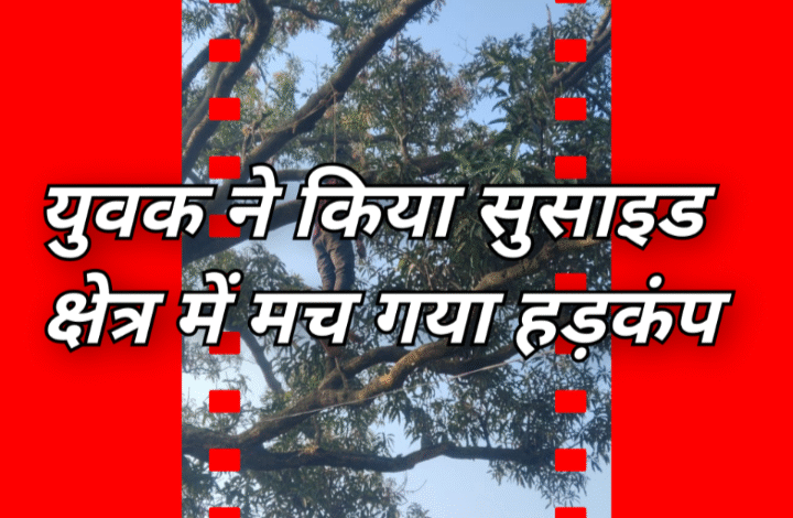 Screenshot 20251015 093306.Gallery