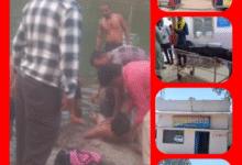 Screenshot 20251018 083220.Gallery