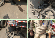 Screenshot 20251019 101407.WhatsApp