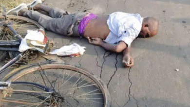 Screenshot 20251019 125900.WhatsApp 1