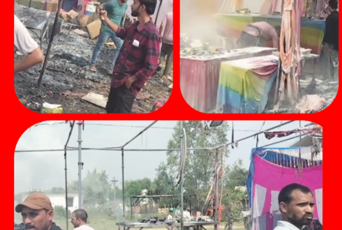 Screenshot 20251019 150218.Gallery