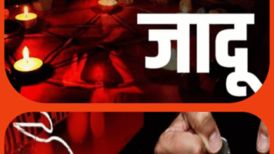 Screenshot 20251024 084033.Gallery