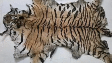 Screenshot 20251028 133923.WhatsApp