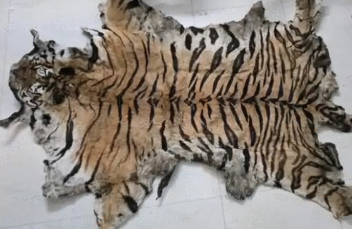 Screenshot 20251028 133923.WhatsApp