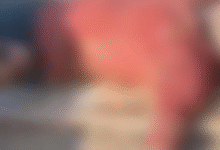 Screenshot 20251029 190400.Dainik Bhaskar