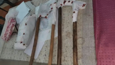 बड़ी खबर : बाघ शिकार मामला : 6 और आरोपी गिरफ्तार , अब तक 9 आरोपी गिरफ्तार, दूसरे बाघ के शिकार का खुलासा, अवशेष और हथियार बरामद 9 Screenshot 20251030 175542.WhatsApp