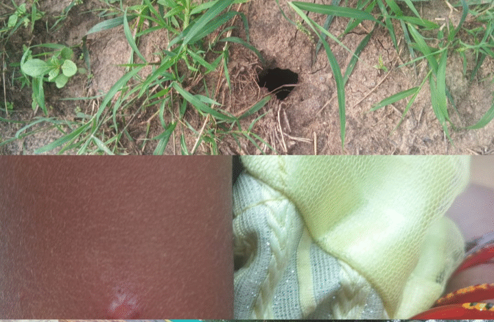 Screenshot 20251031 190927.WhatsApp