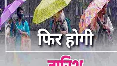 मध्य प्रदेश में वेदर सिस्टम एक्टिव, 12 जिलों में झमाझम बारिश-बादल का अलर्ट, 9 Untitled 2 copy 12