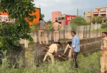 WhatsApp Image 2025 10 09 at 17.24.55