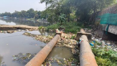 WhatsApp Image 2025 10 16 at 10.44.39