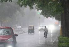 मौसम का बदला मिजाज, बादलों की चादर ने बढ़ाई ठंडक 10 WhatsApp Image 2025 10 28 at 12.44.29