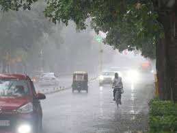 WhatsApp Image 2025 10 28 at 12.44.29