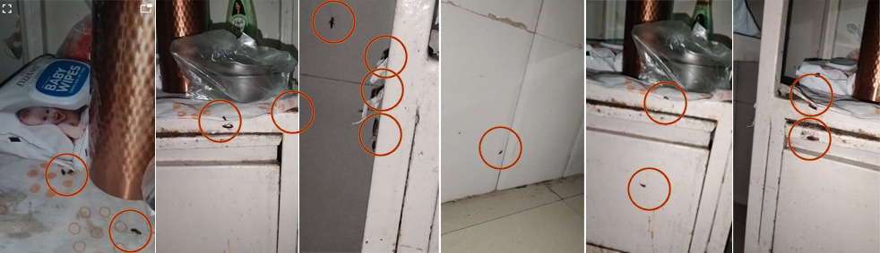 WhatsApp Image 2025 10 31 at 12.57.49 PM