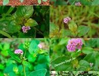 download 2025 10 23T144639.119