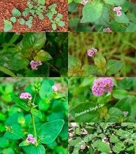 download 2025 10 23T144639.119