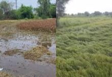 download 2025 10 27T150943.723