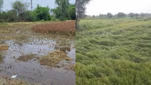 download 2025 10 27T150943.723