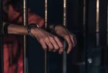 भोपाल में चेन स्नेचिंग गिरोह का पर्दाफाश , नाबालिग सहित तीन गिरफ्तार 11 download 70