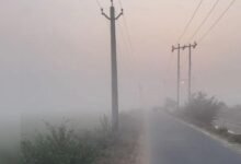 कोहरे में डूबी सुबह,फिर सुनहरी धूप,शाम को ठंडक बढ़ने के आसार 9 03 4