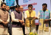 12dc128b 566a 4a5f b5ee 494376da9e61