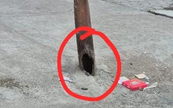 5df2f66a 019e 47fe 97ef 7d2725085881