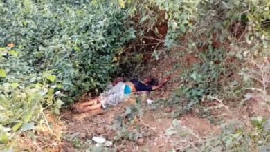 पनागर में महिला की रक्त रंजित मिली लाश 6 IMG 20251116 WA0000