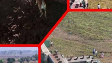 IMG 170828 011125 1761997126003