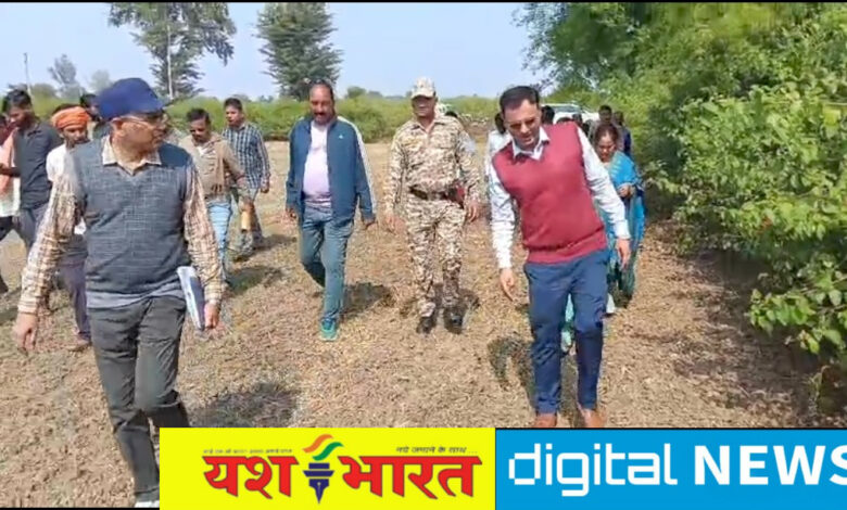 ऊबड़-खाबड़ रास्तों और मेंढ़ पर पैदल चलकर खेतों में पहुंचे कलेक्टर, नरवाई प्रबंधन के नवाचारों को देखा 1 IMG 20251113 132409