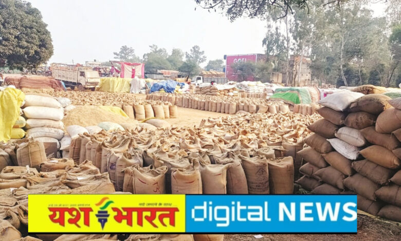 खरीदी की तारीख तय, असमंजस में किसान, एक दिसंबर से होगा उपार्जन, 89 केन्द्र बनाए जा रहे, 4.75 लाख मीट्रिक टन टारगेट, 62 हजार 658 किसानों ने कराया रजिस्ट्रेशन 1 IMG 20251114 150315