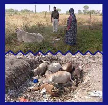 IMG 210147 111125 1762875123931